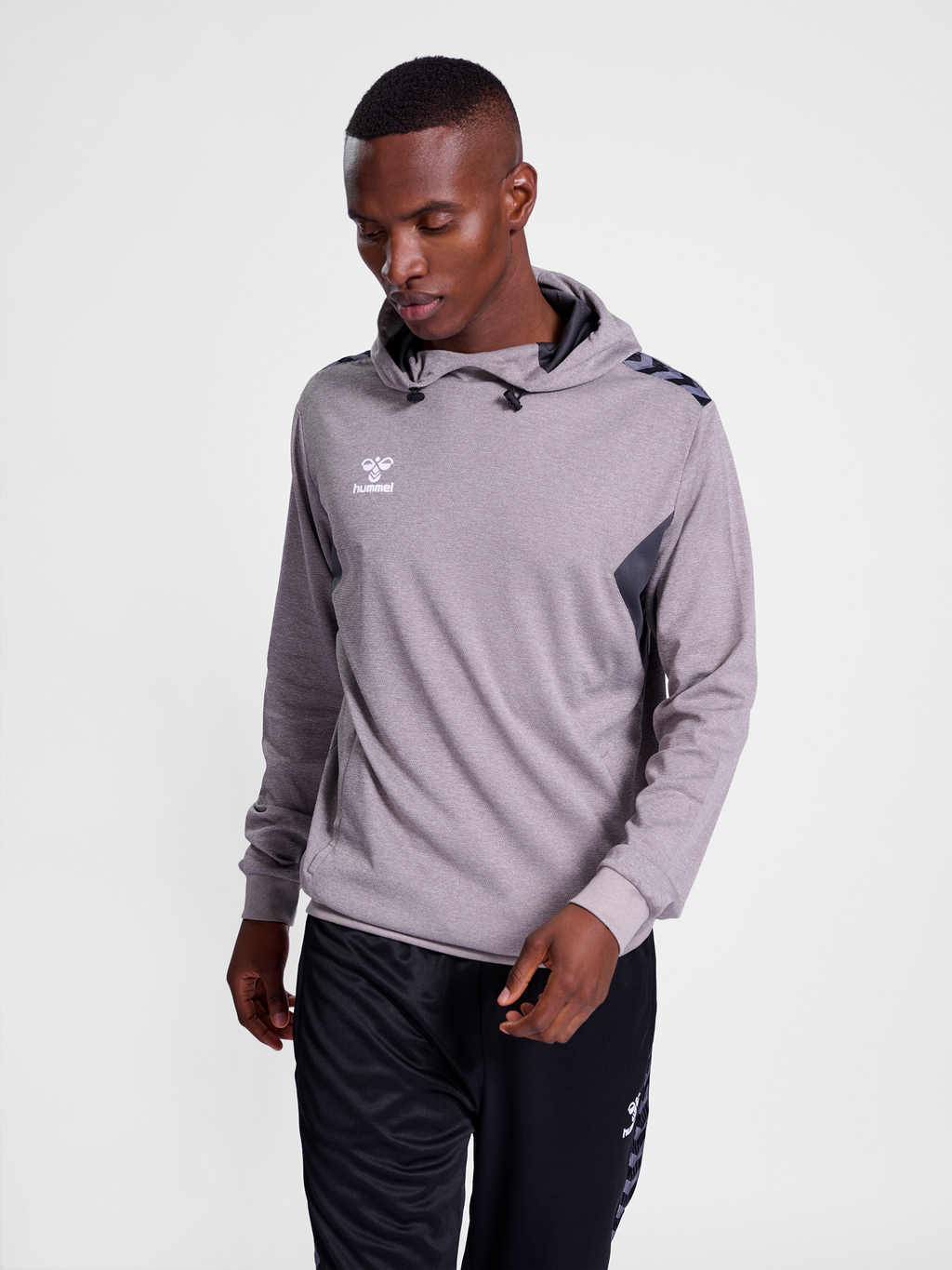 hmlAUTHENTIC PL HOODIE