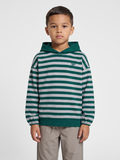 hmlJR CONELLY BOXY CONTRAST HOODIE