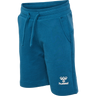 hmlFLOW SHORTS