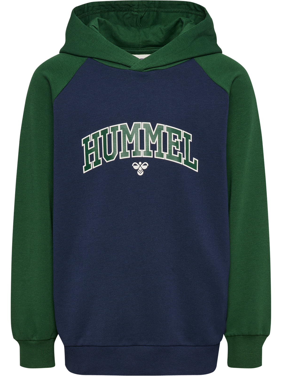 hmlESSEN HOODIE