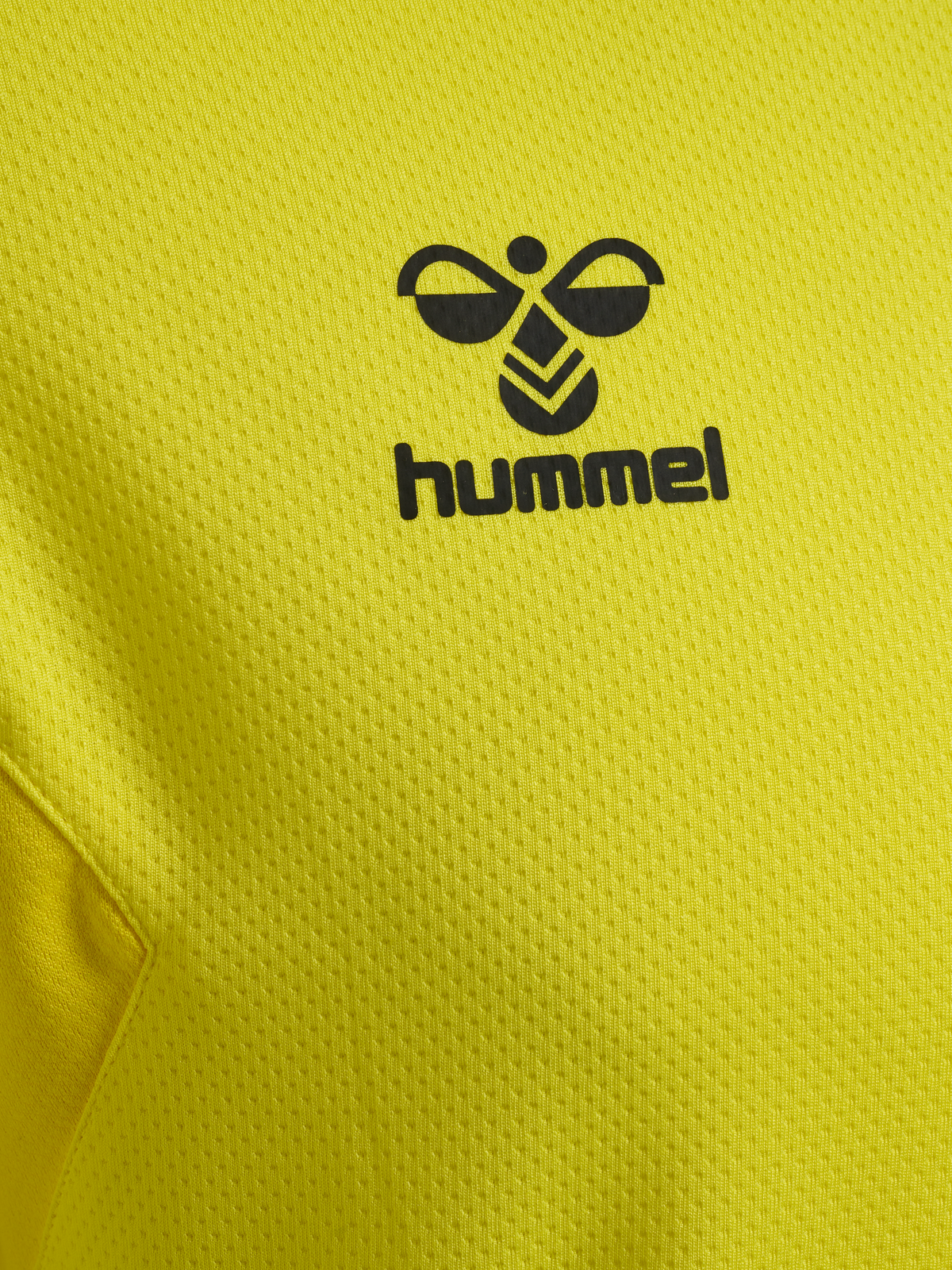hmlAUTHENTIC PL HOODIE