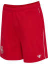 DBU 26 FAN KNITTED SHORTS