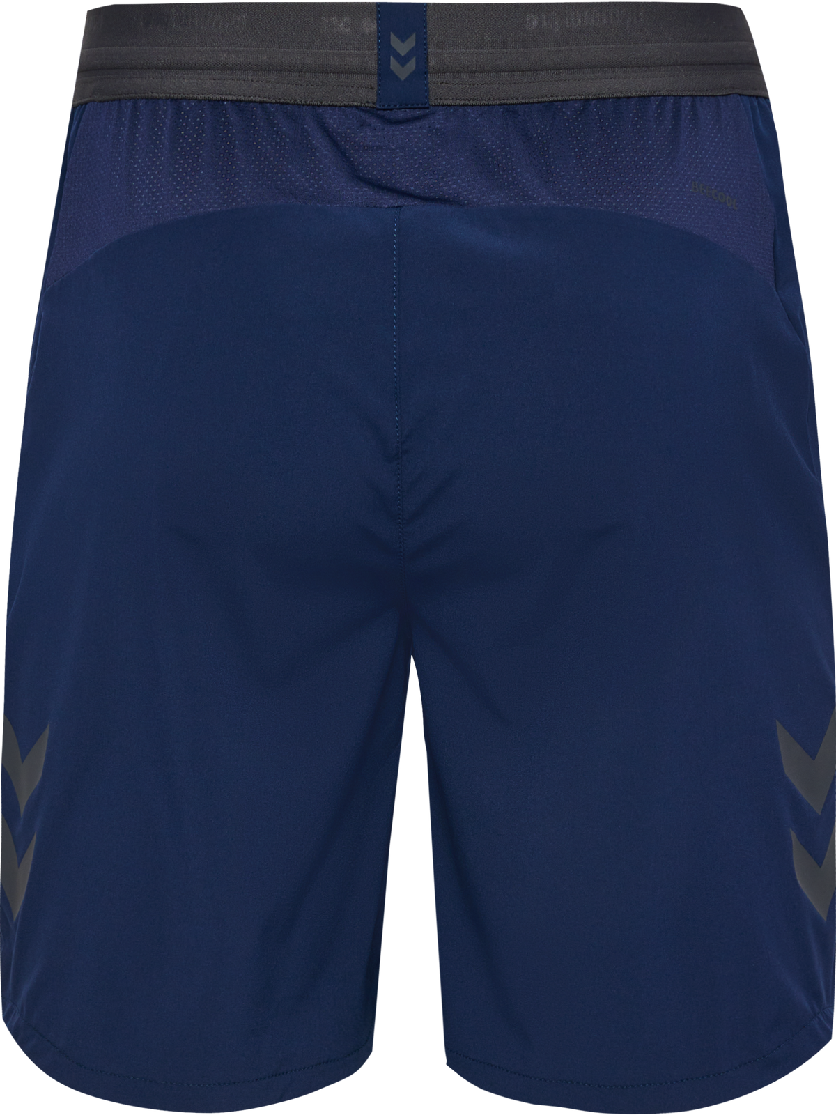 hmlPRO TRAINING SHORTS