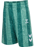 hmlSHIMMER SHORTS