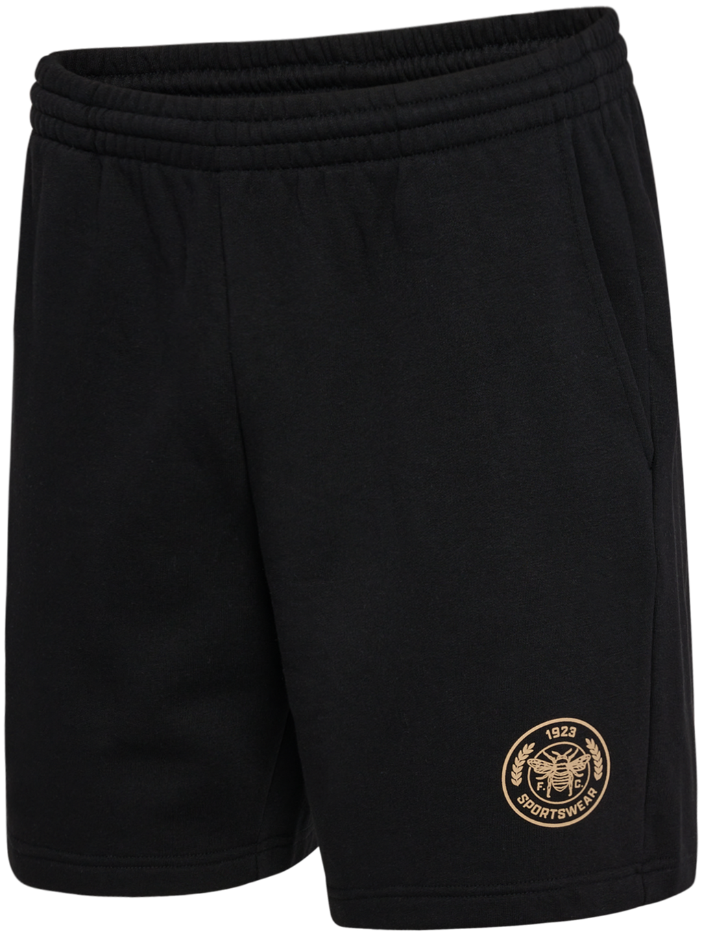 hmlSWARM SHORTS