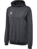 hmlAUTHENTIC PL HOODIE