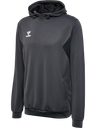 hmlAUTHENTIC PL HOODIE