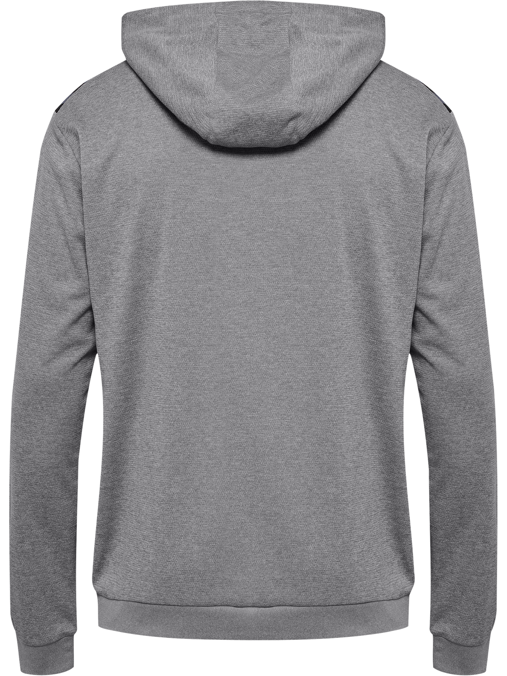 hmlAUTHENTIC PL HOODIE