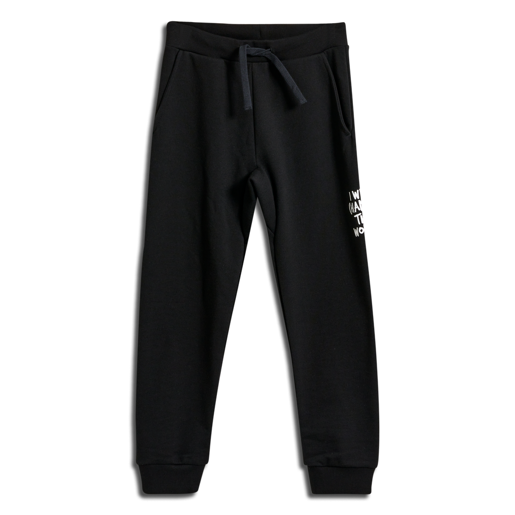 stmPASADENA PANTS