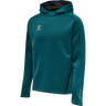 hmlCIMA XK HOODIE