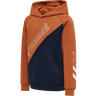 hmlAXEL HOODIE