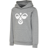 hmlCUATRO HOODIE