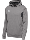 hmlAUTHENTIC PL HOODIE