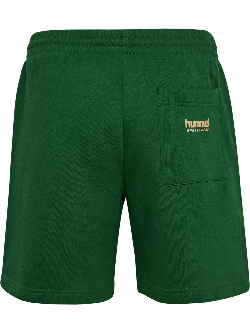 hmlSWARM SHORTS