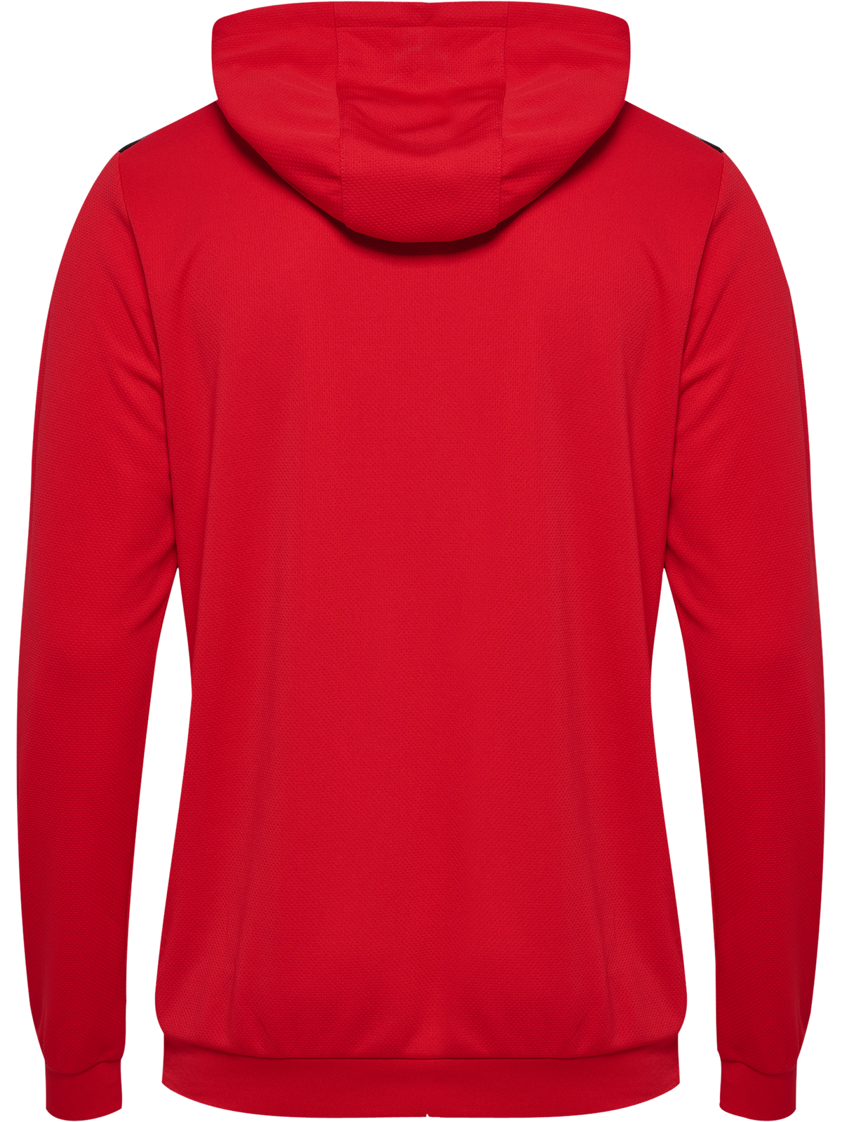 hmlAUTHENTIC PL HOODIE