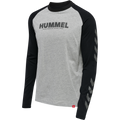 hmlLEGACY BLOCKED T-SHIRT L/S