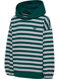 hmlJR CONELLY BOXY CONTRAST HOODIE