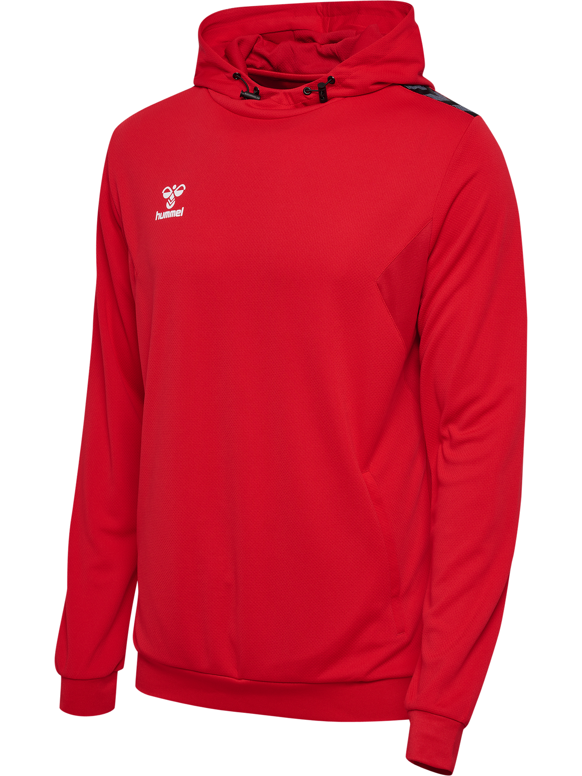 hmlAUTHENTIC PL HOODIE