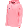 hmlCORE XK POLY SWEAT HOODIE