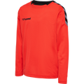 hmlAUTHENTIC KIDS POLY JERSEY L/S