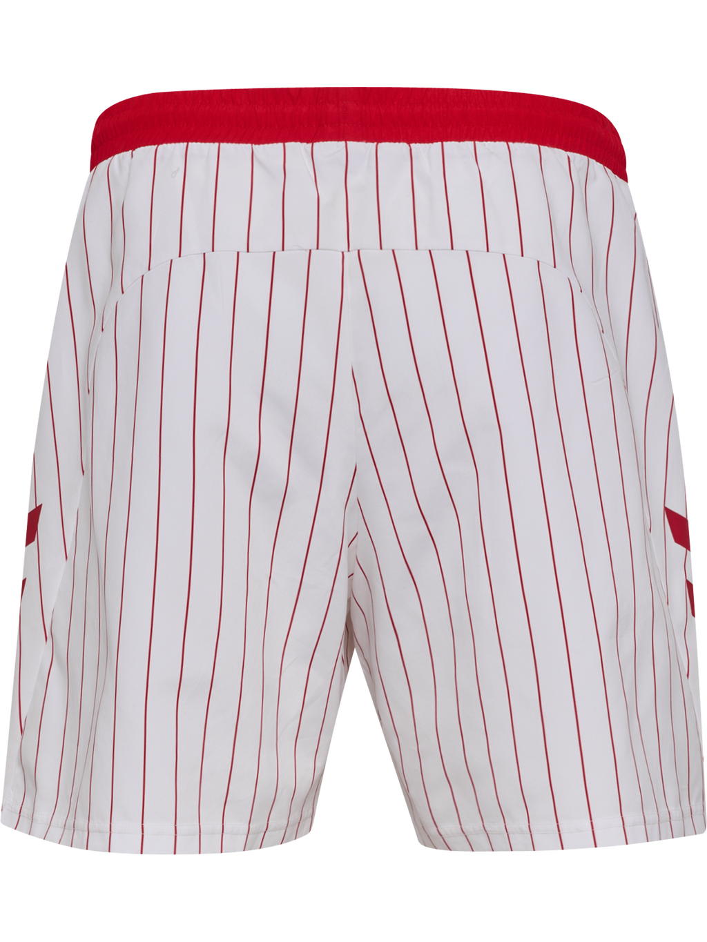 DBU 26 FAN SWIM SHORTS